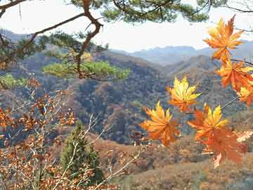 岐山二手房最新消息